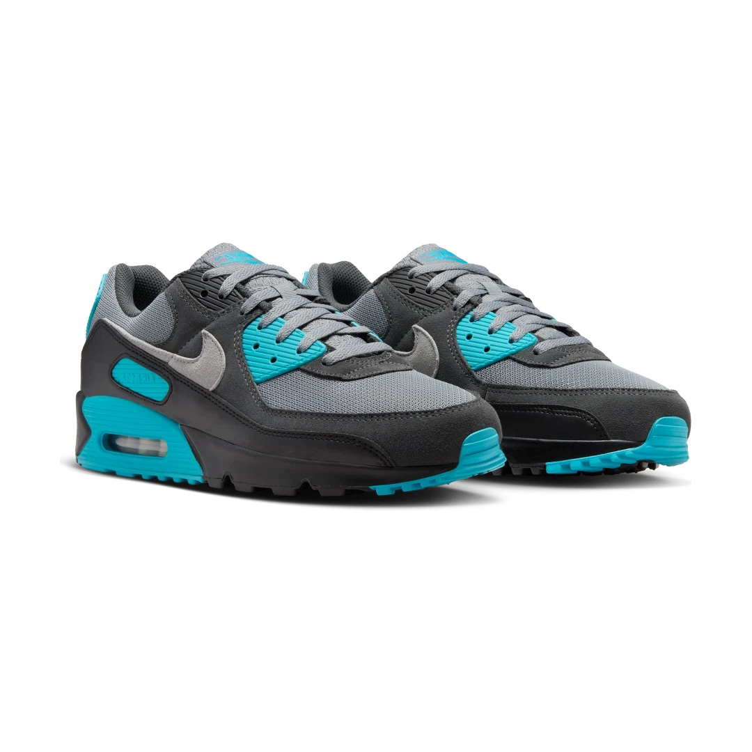 Nike Air Max 90 Cool Grey Dusty Cactus Black Wolf Grey