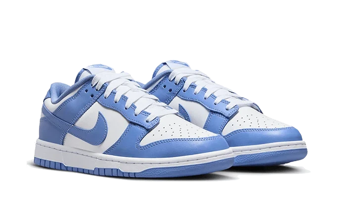 Nike Dunk Low Polar Blue