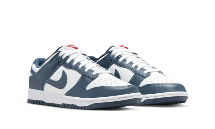 Nike Dunk Low Valerian Blue