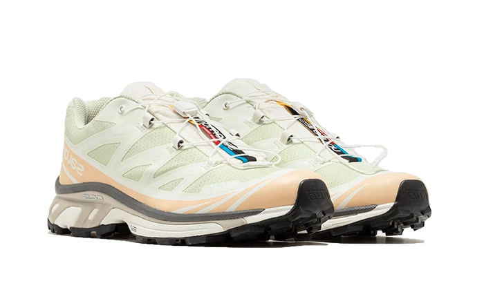 Salomon XT-6 Aloe Wash Feather Grey