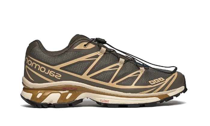 Salomon XT-6 Beluga Dull Gold