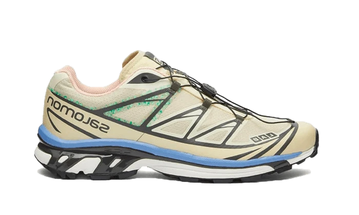 Salomon XT-6 Moth Vanilla