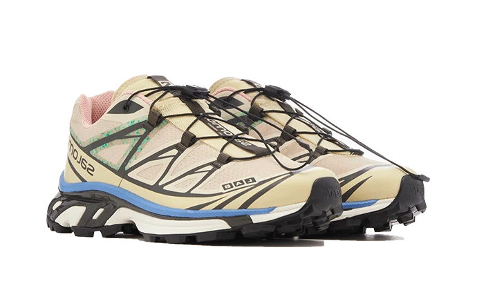 Salomon XT-6 Moth Vanilla